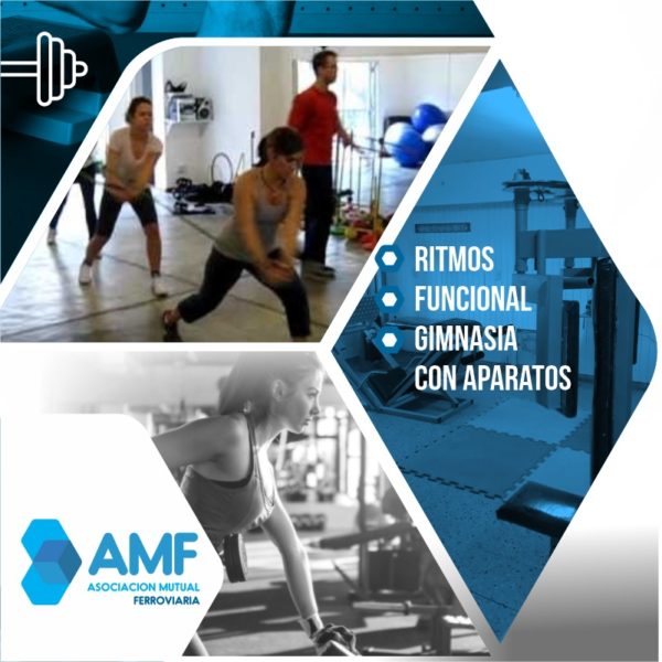 Gimnasio02