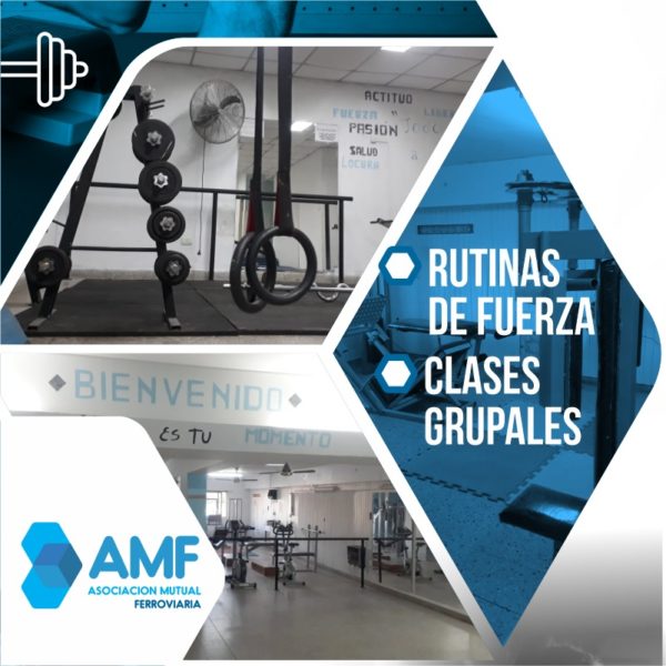 Gimnasio04